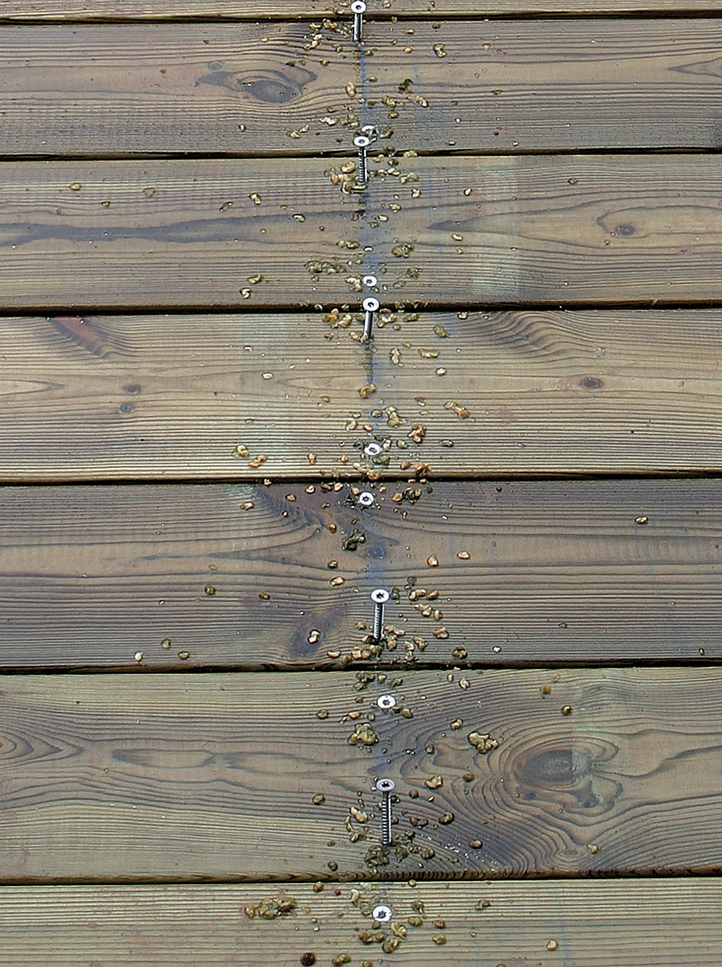 Visser les lames d'une terrasse en bois :
